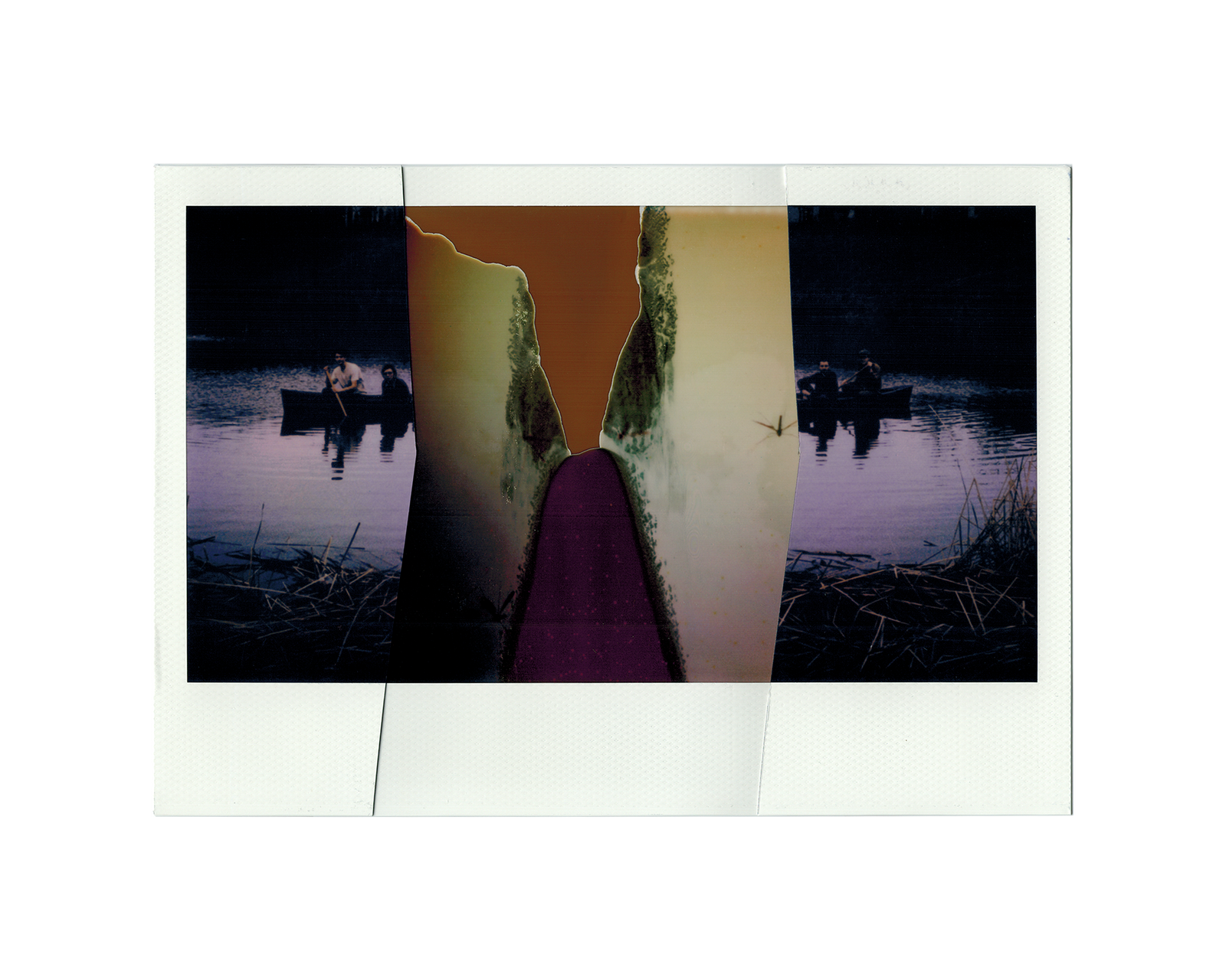 mosquito C M polaroids 6