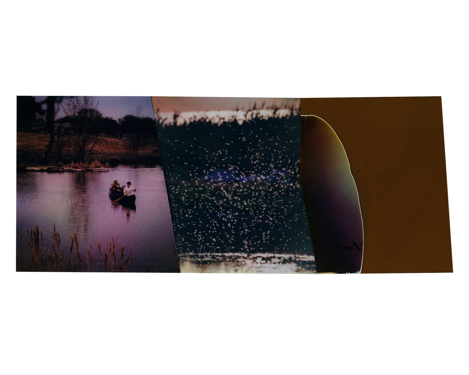 TB mosquito C M polaroids 8 2